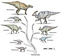 Family tree of the Hadrosauroidea