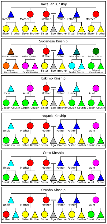 Charts of the six systems.