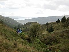 Modern view above the treelike, looking down over the upper glen past the Holy Loch and Dunoon to the Firth of Clyde.