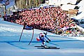 Ziel-S mit voll besetztem Zielstadion, 2012