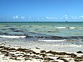 Beach water quality affected by Hurricane Irma, September 16, 2017, near tip of South Pointe Park