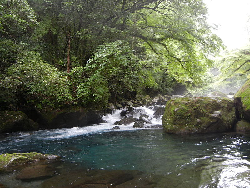 File:Kikuchi-River-valley.JPG