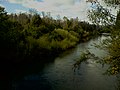 Der Río Cruces