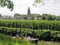 Blik op Montfoort vanaf de Doeldijk