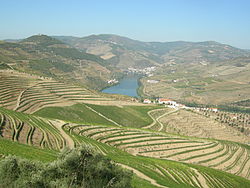 Valle del fiume Duero