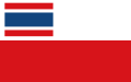 Прапор（1919—1920）