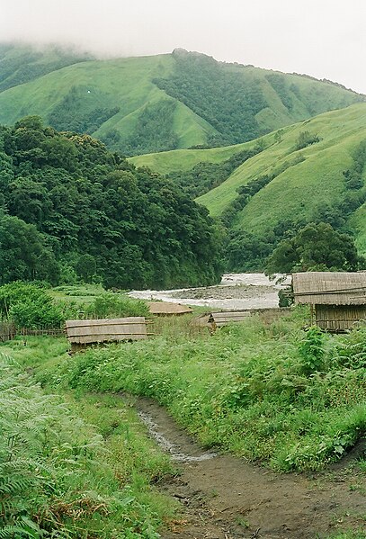 File:Idu Mishmi village (7453909308).jpg