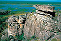 "Kakadu_2411.jpg" by User:Nttc