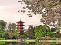 1. La tour japonaise à Laeken - Moyaertsd