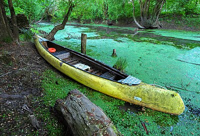 Slika:Canoe in abandoned channel, River Ljubljanica, Slovenia.jpg