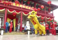 Image 22Lion dance at Chinese New Year celebrations in Suriname (from Suriname)