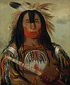 Stu-mick-o-súcks, Buffalo Bull's Back Fat, Head Chief, Blood Tribe, 1832 by George Catlin[12]