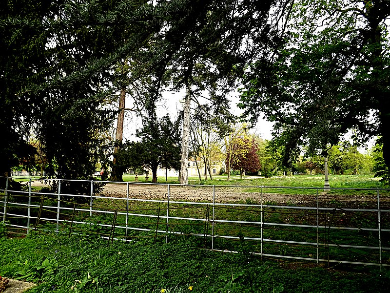 File:Gillingham House ^ grounds - geograph.org.uk - 3951787.jpg