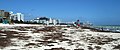 View of beach near South Pointe Park after Hurricane Irma, September 16, 2017