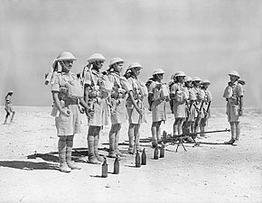 4th Division tank-hunting squad at Mersa Matruh