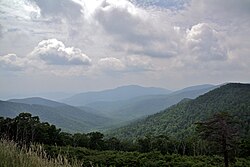 Panoramatický pohled na park