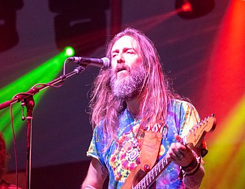 Chris Robinson at Kitchener Bluesfest 2018.jpg