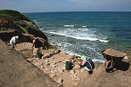 Excavations in Tavşan Adası (Aydın)-2.jpg