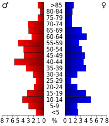 Schéma représentant la population du comté, par tranche d'âge. En rouge, à gauche, les femmes, en bleu à droite, les hommes.