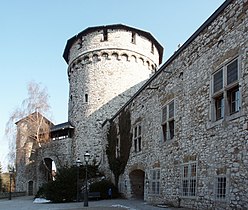 Bergfried und Palas