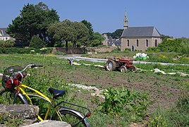 Jardinage, Île-de-Bréhat, 2009.