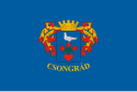 Csongrád - Bandera