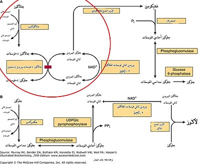 مكان الخلل