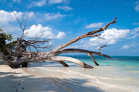 Tropical beach in Havelock Island, Andaman and Nicobar Islands.