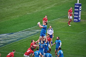 Romain Poite lors du Tournoi des Six Nations 2013.