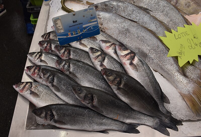 File:Marché aux poissons de Royan 2024 n.jpg