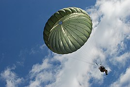 US Army 52232 "Airborne" in five languages 7.jpg