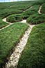 Cerne Abbas Giant