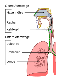 File:Illu conducting passages de.svg