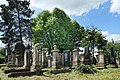 Linde auf dem jüdischen Friedhof in Eschwege