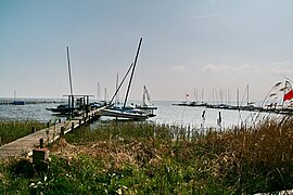 Steinhuder Meer bei Mardorf (Neustadt am Rübenberge) IMG 6719.JPG