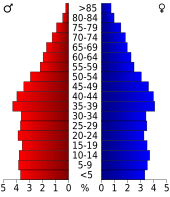 Bevolkingspiramide Wayne County