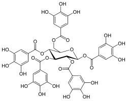 Chemical structure of pentagalloyl glucose