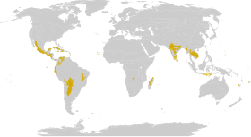 Distribución de los bosques secos en el mundo