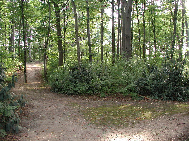 File:Koeln-Fritz-Enke-Park-002.JPG