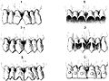 Motifs de modifications dentaires