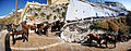 Santorini Mule Path (panoramic), Fira, Santorini island (Thira), Greece