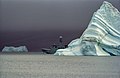 F358 Triton i Kejser Franz Josef Fjord (Grønland)