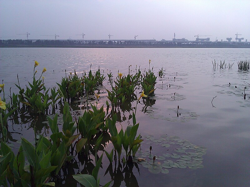 File:Wanping Lake Northern Section.jpg