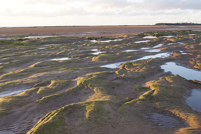 File:Wirral, UK - panoramio (16).jpg