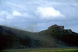 Midges at bank of lake Mývatn