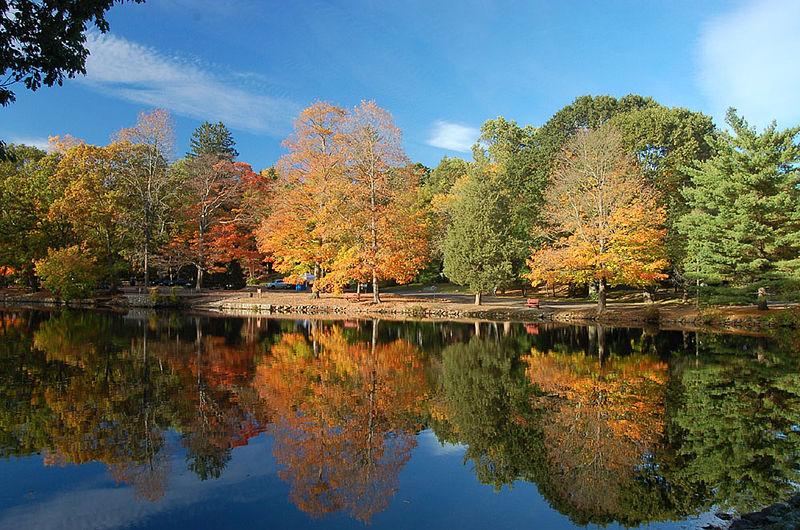 File:Bendel Pond.JPG