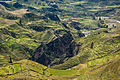 Image 24Agriculture terraces were (and are) common in the austere, high-elevation environment of the Andes. (from History of agriculture)