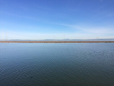 Marshland above high tide