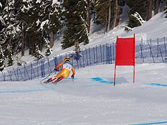 Robbie Dixon bei der Abfahrt der Olympischen Winterspiele 2010