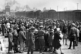 Selection on the ramp at Auschwitz-Birkenau, 1944 (Auschwitz Album) 1b